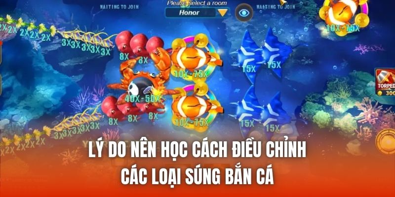 Lý do nên học cách điều chỉnh các loại súng bắn cá
